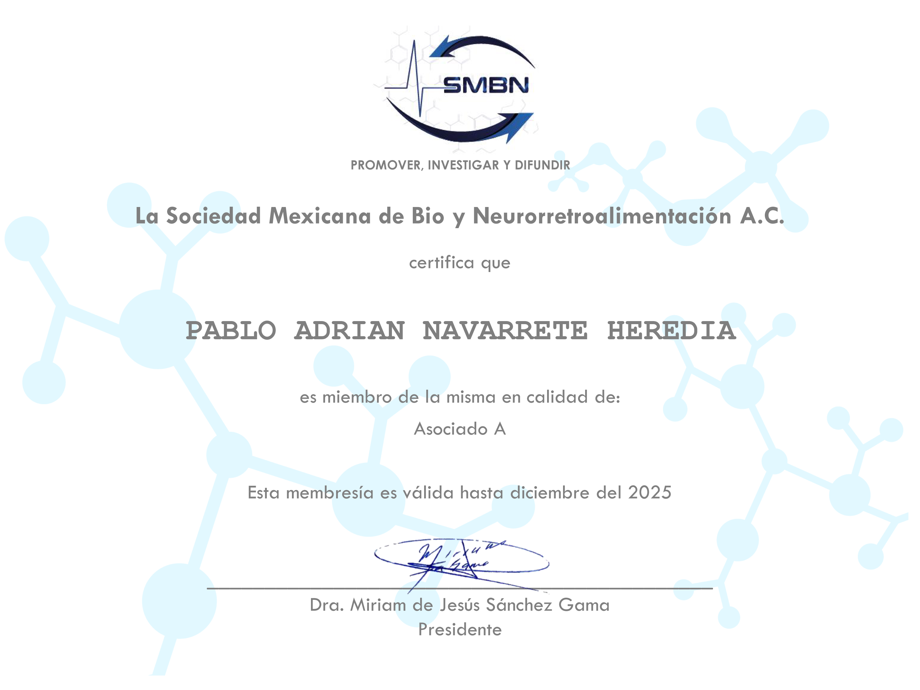 sociedad mexicana PABLO ADRIAN NAVARRETE HEREDIA